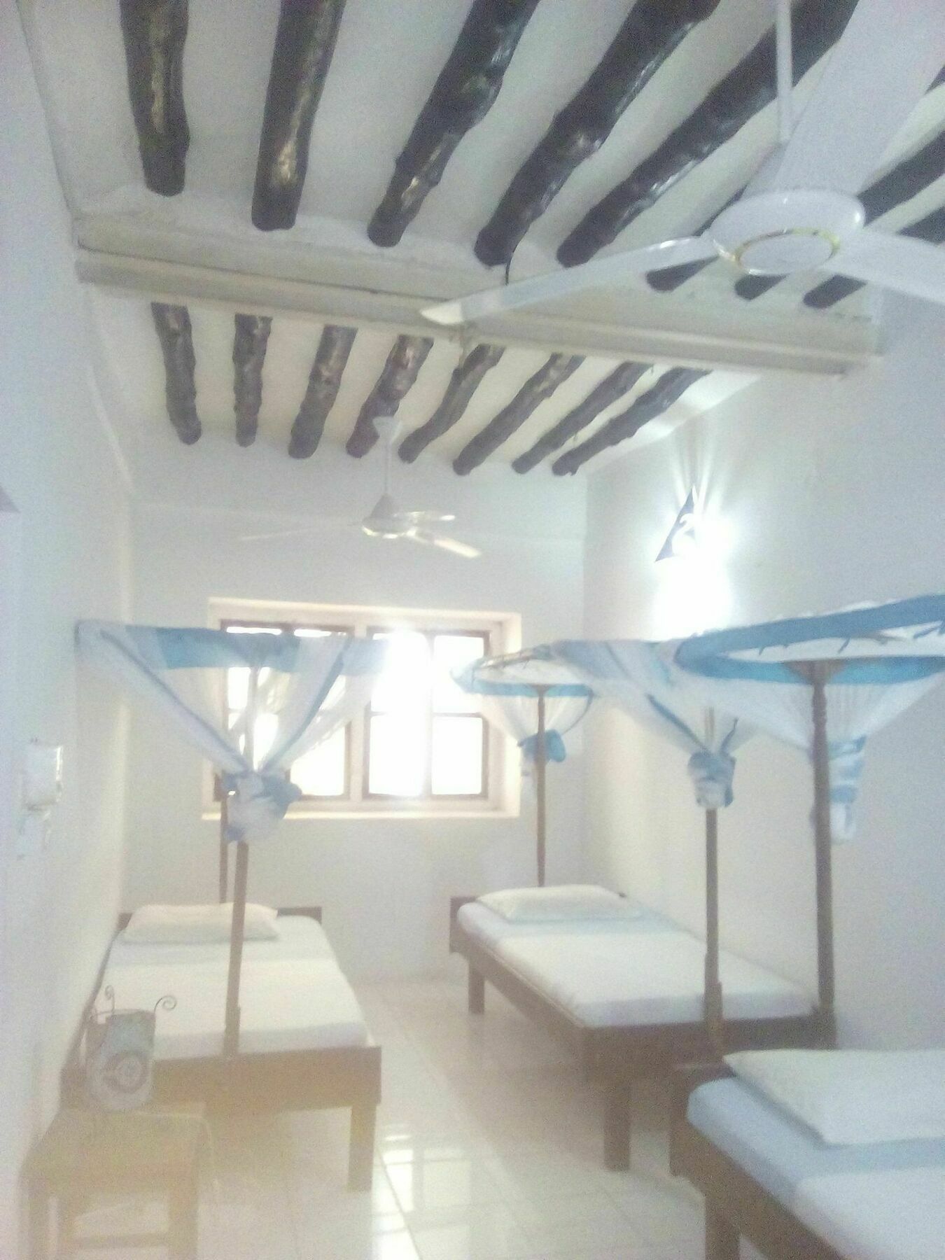 Kiponda B&B Zanzibar Exterior photo